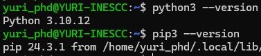 Como verificar se o Python e pip estão instalados no WLS Como instalar o Python no WSL